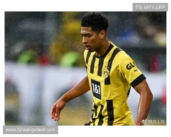 德佬曾反对缩减意甲球队数量现提议